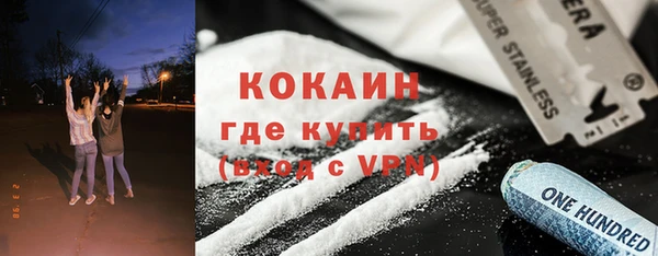 индика Горняк