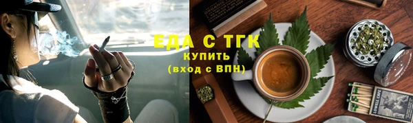 индика Горняк