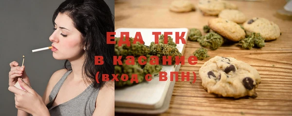 индика Горняк