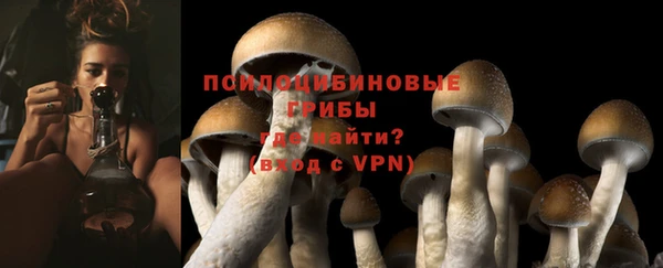 индика Горняк