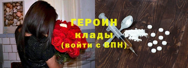 индика Горняк