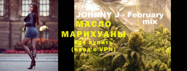 индика Горняк