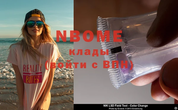 индика Горняк
